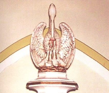 Image of pelican